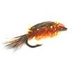 orange crystal shrimp